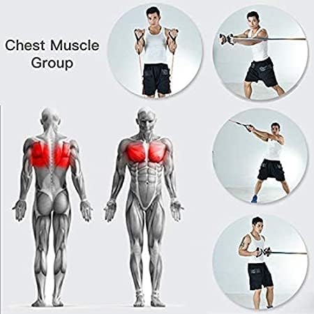 Plastic Toning Tube Double Resistance Band Heavy Quality Exercise Band for Stretching, Full Body Workout, Home Gym and Toning for Men and Women